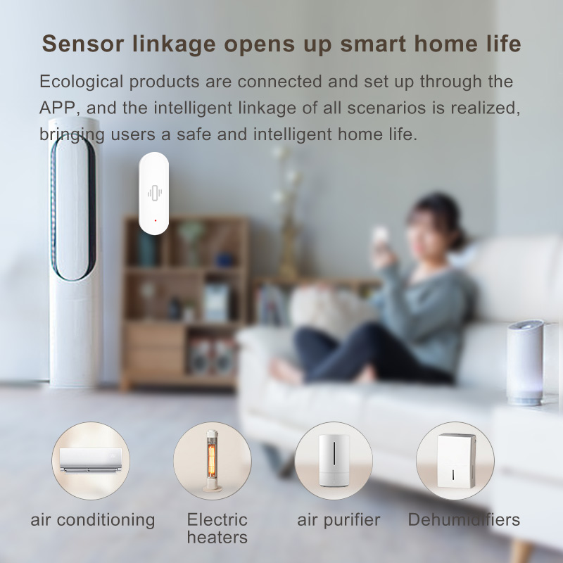 เซ็นเซอร์ตรวจจับการสั่นสะเทือน - Home Security Alexa บทวิจารณ์และราคา