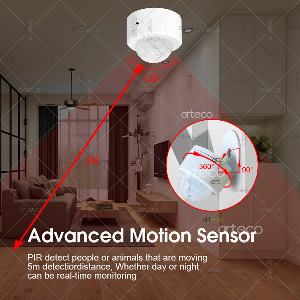Ewelink Zigbee PIR Motion Sens - Home Security Alexa บทวิจารณ์และราคา