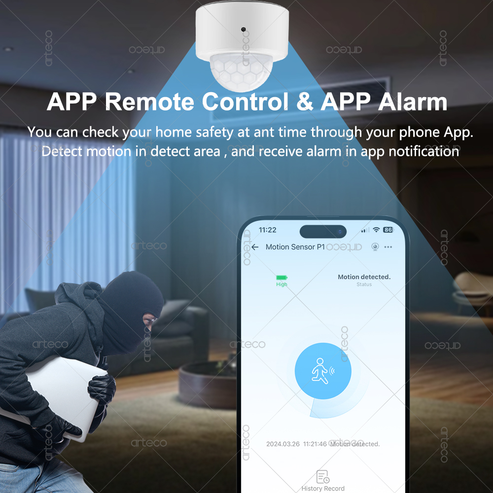 Ewelink Zigbee PIR Motion Sens - Home Security Alexa บทวิจารณ์และราคา