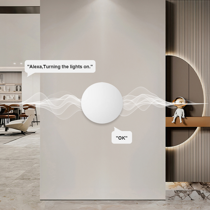 สวิตช์ควบคุมฉากไร้สาย ZigBee ส - Home Security Alexa บทวิจารณ์และราคา