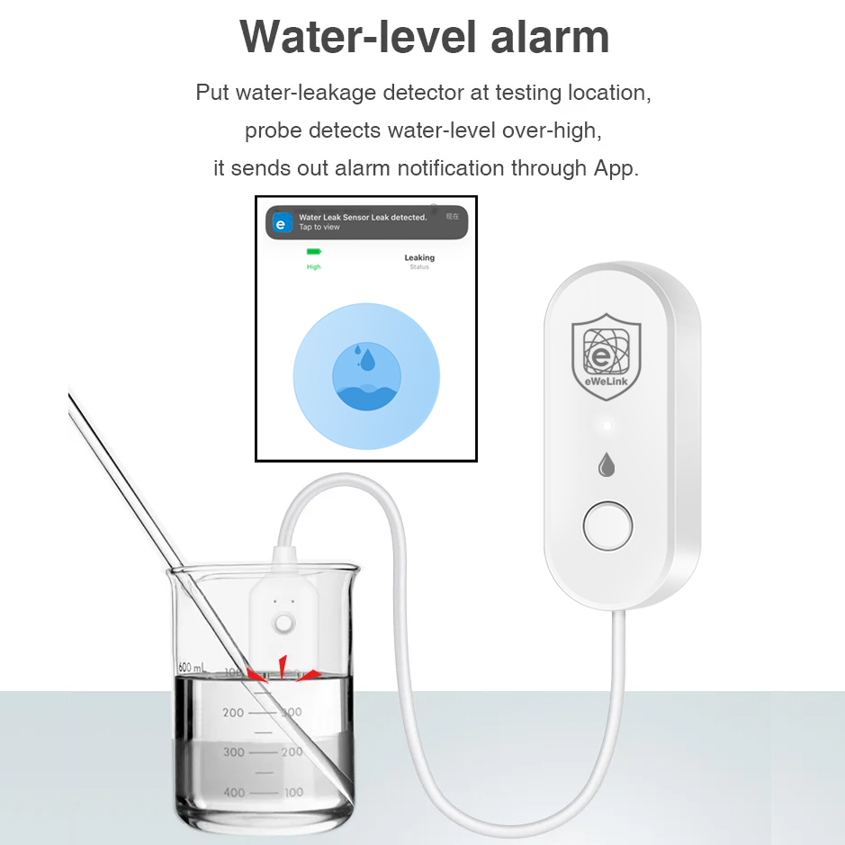 อีเวลิงค์ ซิกบีเซ็นเซอร์ตรวจจั - Home Security Alexa บทวิจารณ์และราคา