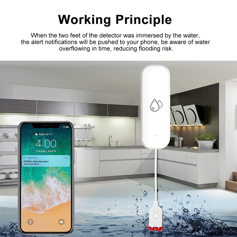 เซ็นเซอร์ตรวจจับน้ำรั่ว Tuya W - Home Security Alexa บทวิจารณ์และราคา