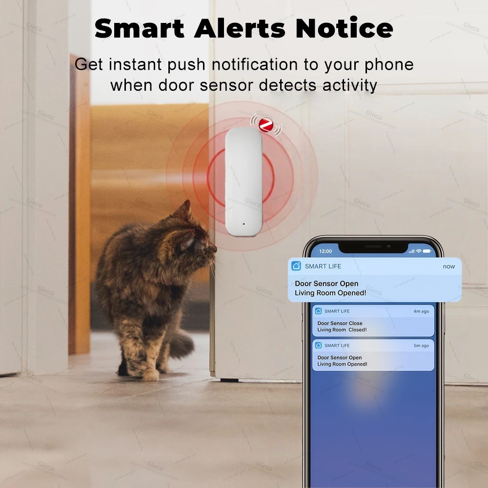 เซ็นเซอร์ประตูหน้าต่าง Tuya Zi - Home Security Alexa บทวิจารณ์และราคา